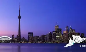  多伦多猛龙迎法国杯关键赛，加时末段回应争议，震撼外界，医务组通报恢复